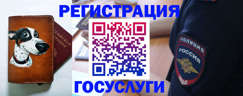 временная регистрация в квартире в Железногорске